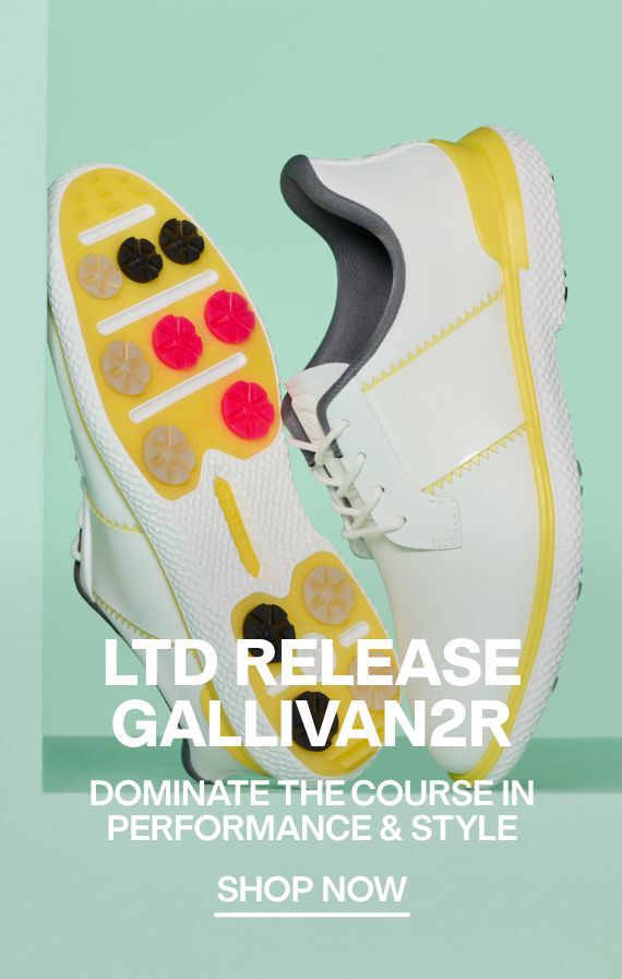 LTD Release Gallivan2r