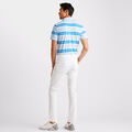 OFFSET STRIPE MODERN SPREAD COLLAR TECH PIQUÉ SLIM FIT POLO image number 5