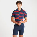 OFFSET STRIPE MODERN SPREAD COLLAR TECH PIQUÉ SLIM FIT POLO image number 3
