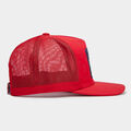 PRAY FOR BIRDIES STRETCH TWILL TRUCKER HAT image number 3