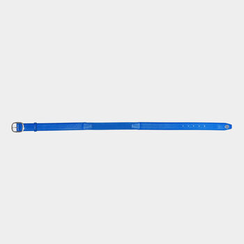CIRCLE G'S WEBBED BELT