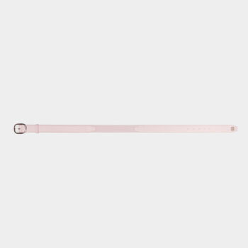 CIRCLE G'S WEBBED BELT