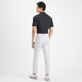 CLUBHOUSE COTTON SLIM FIT POLO image number 5
