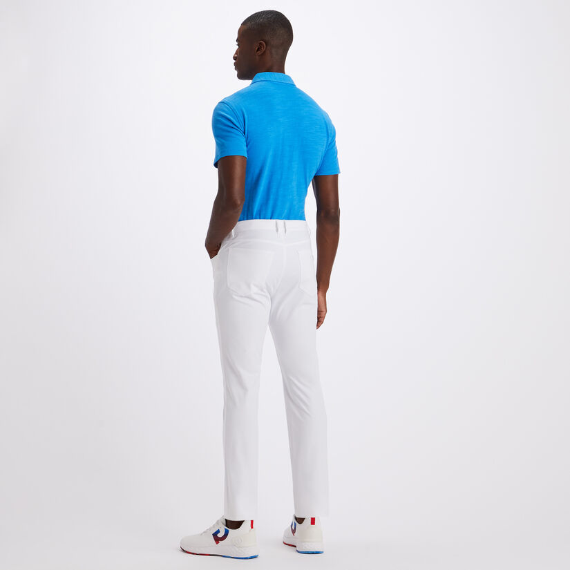CLUBHOUSE COTTON SLIM FIT POLO image number 5