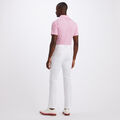 FEEDER STRIPE TECH JERSEY SLIM FIT POLO image number 5