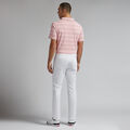 MULTI STRIPE TECH PIQU&Eacute; POLO image number 4
