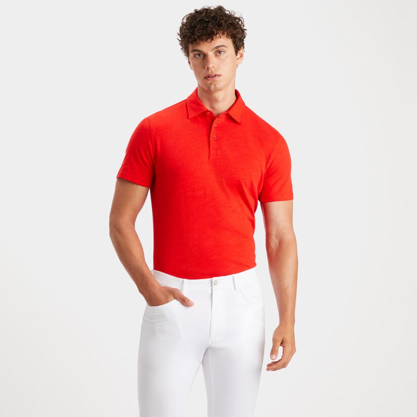 CLUBHOUSE COTTON SLIM FIT POLO image number 3