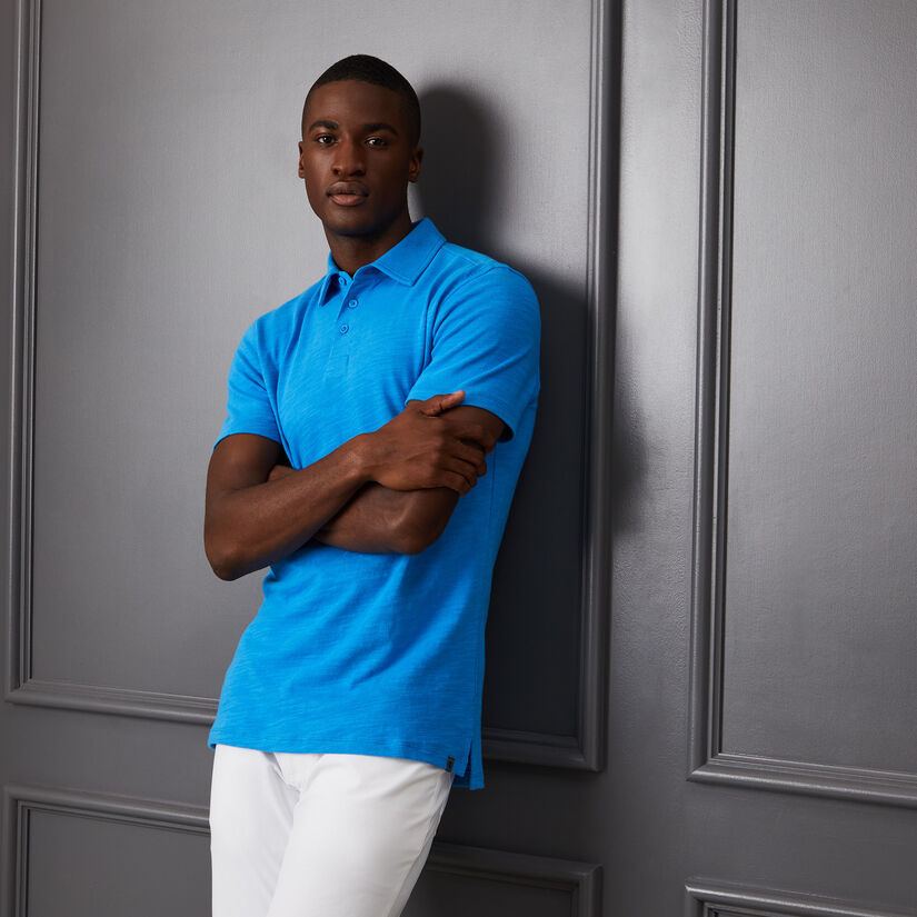 CLUBHOUSE COTTON SLIM FIT POLO image number 2