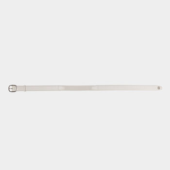 CIRCLE G'S WEBBED BELT