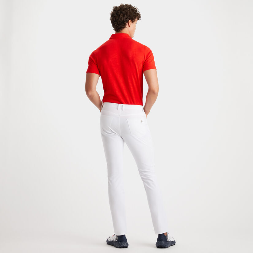 CLUBHOUSE COTTON SLIM FIT POLO image number 5
