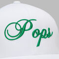 LTD RELEASE POPS TRUCKER HAT image number 2