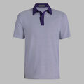 FEEDER STRIPE FINE TECH JERSEY POLO image number 1