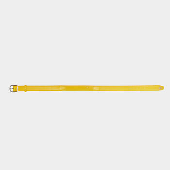 CIRCLE G'S WEBBED BELT