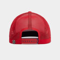 PRAY FOR BIRDIES STRETCH TWILL TRUCKER HAT image number 5