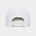 OCCUPY GREENS STRETCH TWILL SNAPBACK HAT image number 5